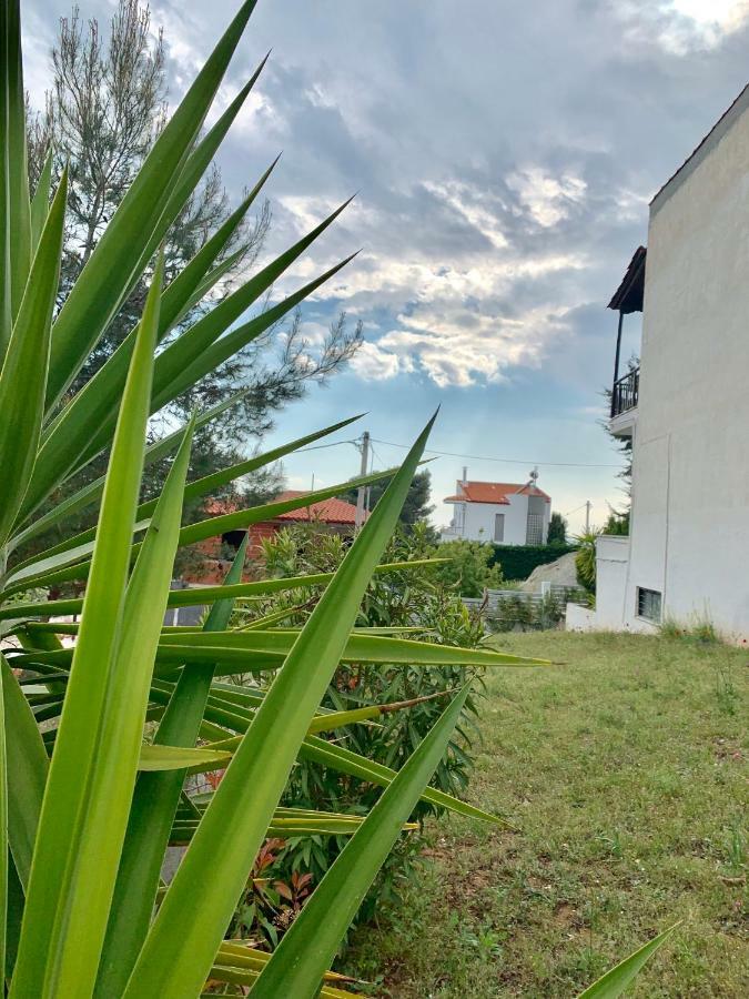 Summer Luxury Villa With Sea View Metamorfosi  Exterior foto